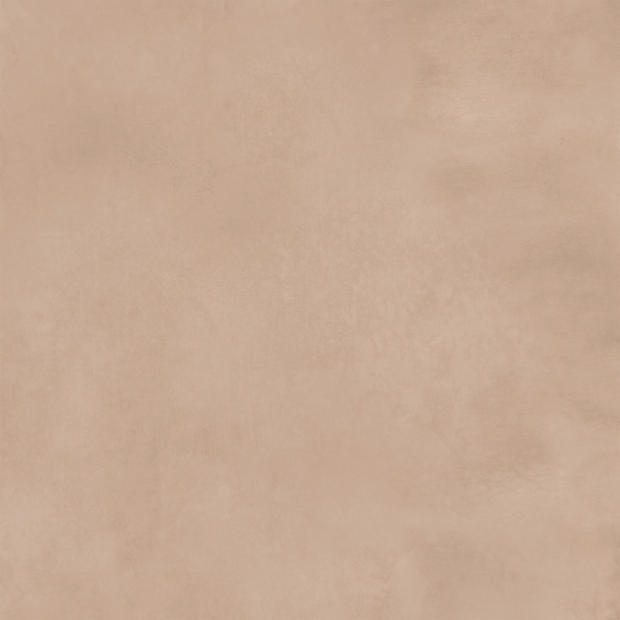 SOLID BISCUIT_F1 - Image 2