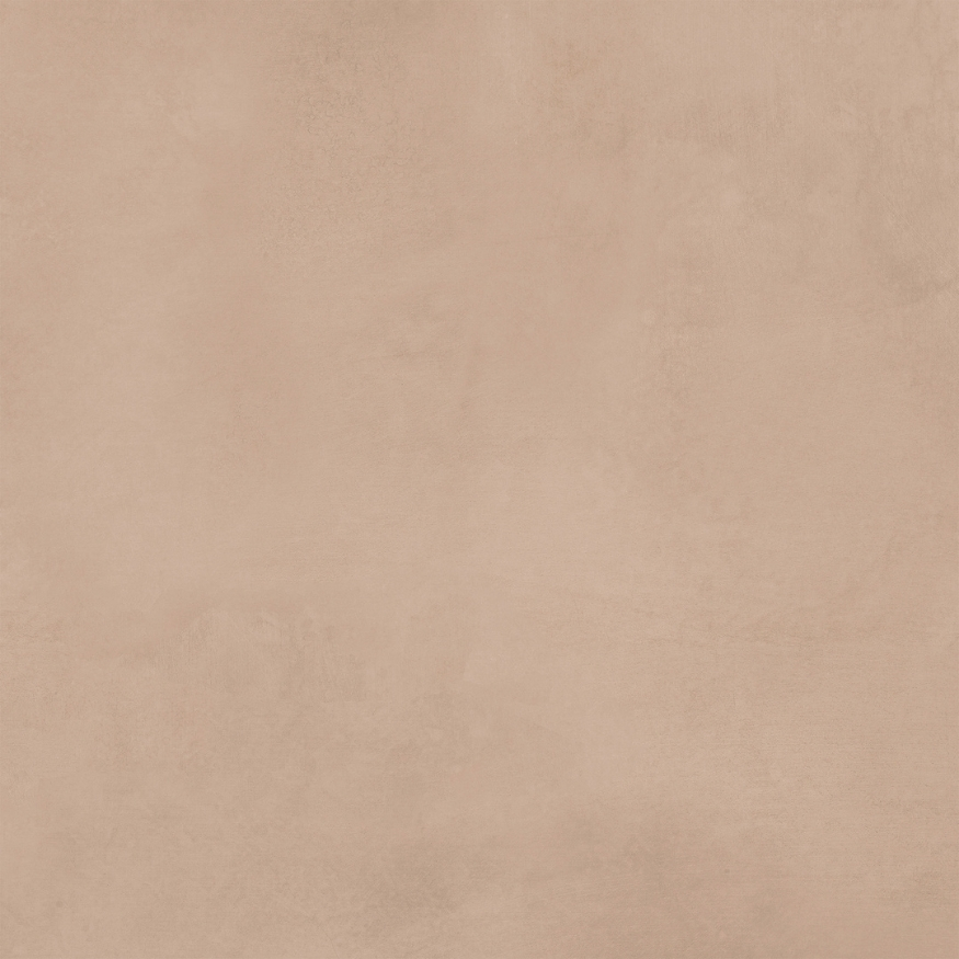 SOLID BISCUIT_F1 - Image 3