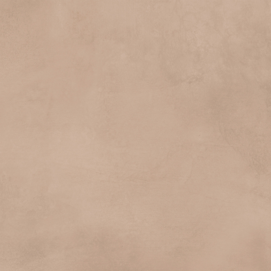 SOLID BISCUIT_F1 - Image 4